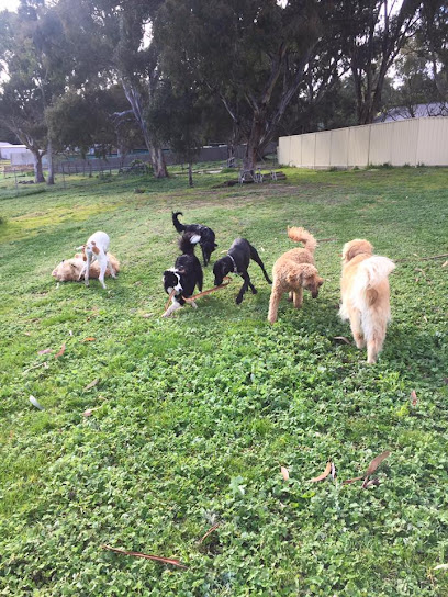 Rilten Kennels