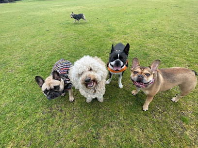 Fairy Dog Mother Doggy Day Care