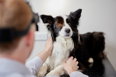 Paws at Prospect Vet