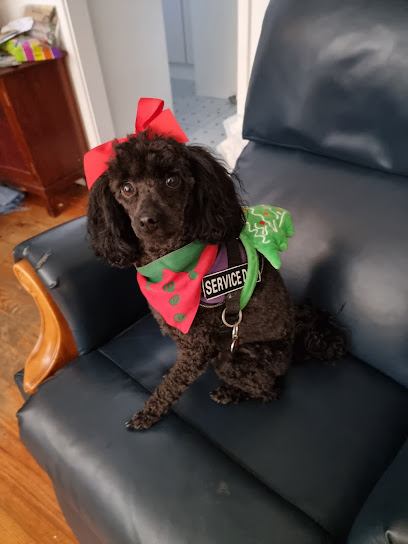 Pawprints – Emergency Vet