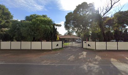 Carols Mutt Hutt